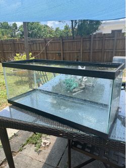 20 gallón aquarium tank