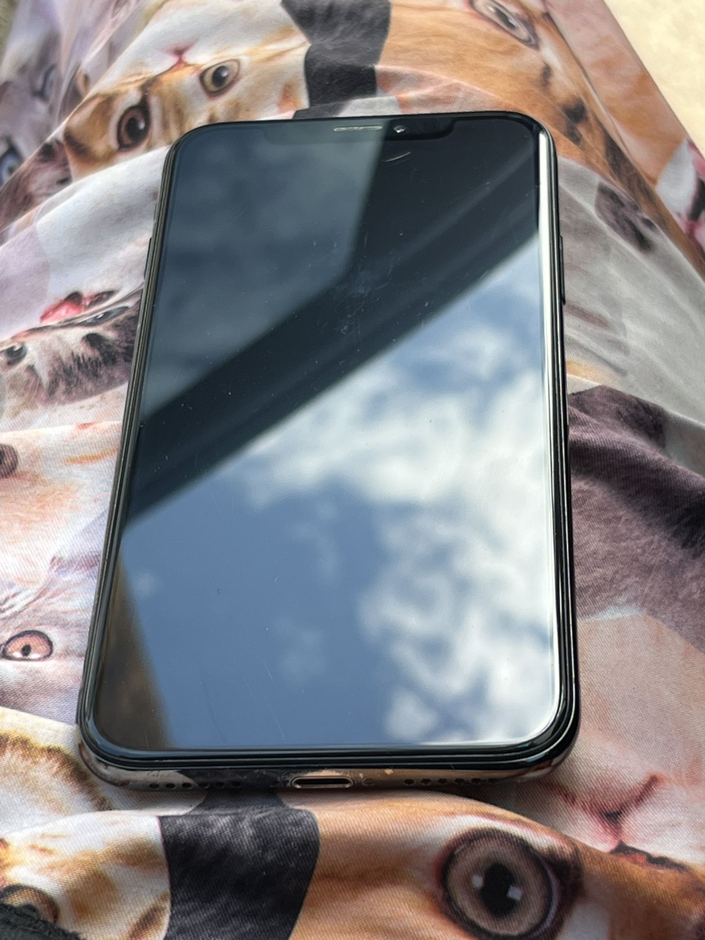 iPhone X 64GB Unlocked- not working