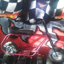 Mini bike