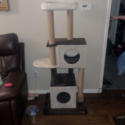 Cat Tower With Scratching Posts