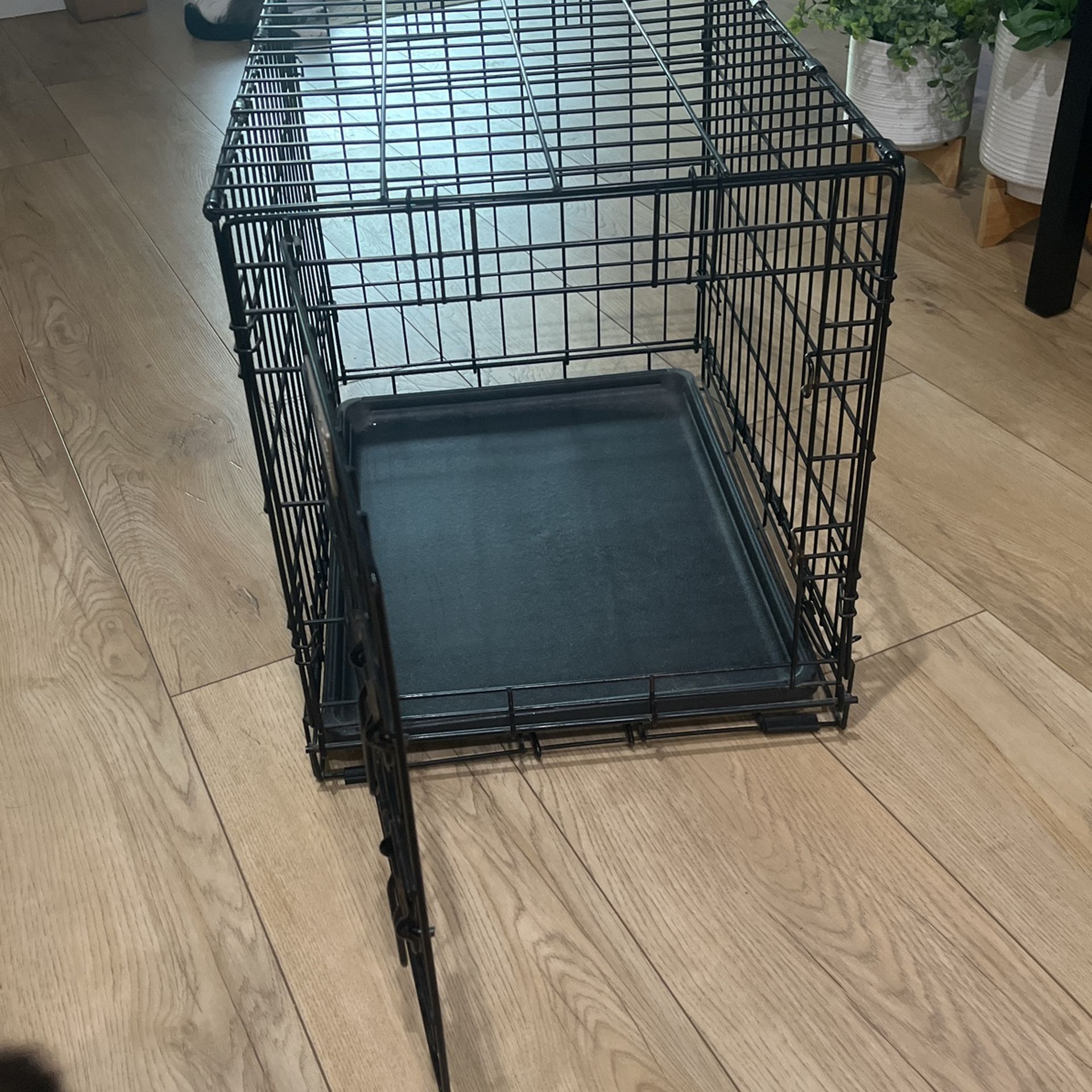 Pet Crate