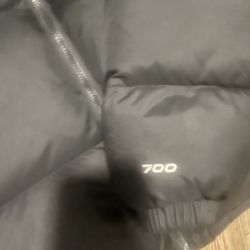 NorthFace 700