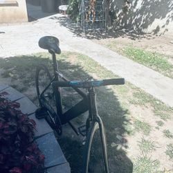 Throne Fixie Track, Lord