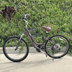 Trek low step 26 in rims 21 speed