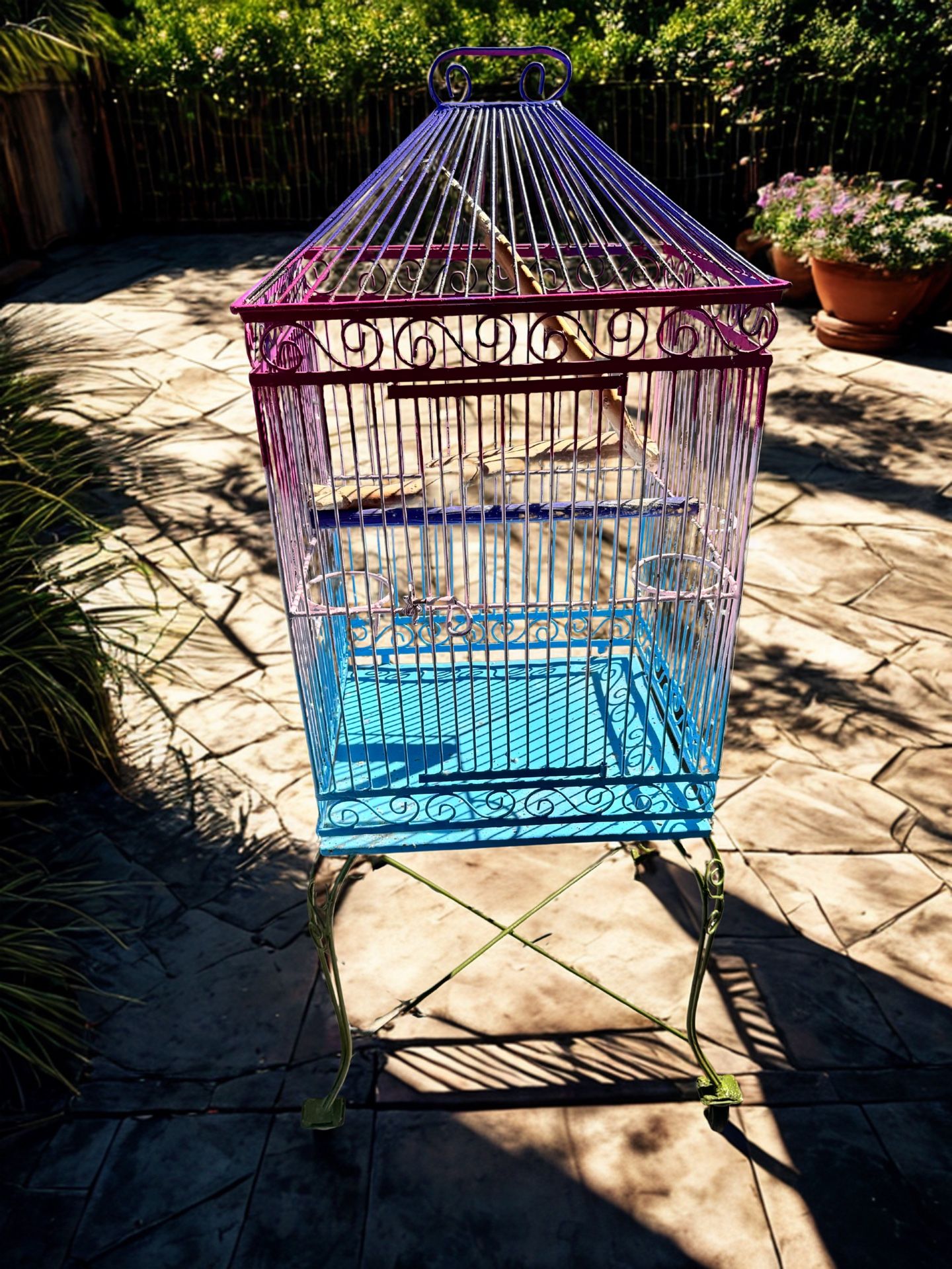 Bird Cage 
