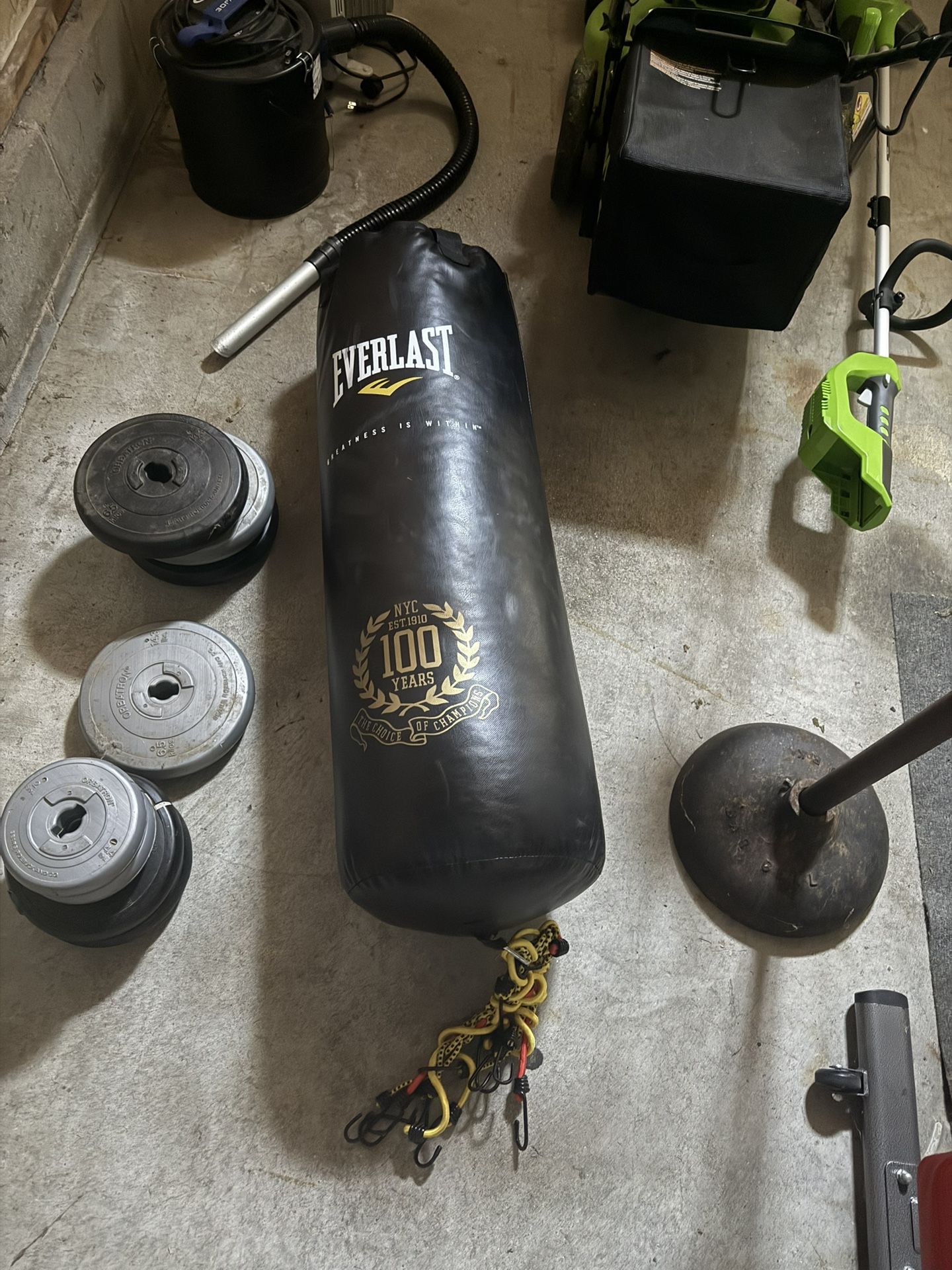 Everlast Punching Bag