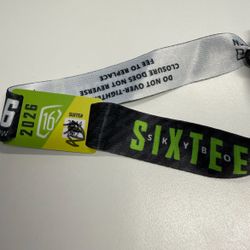 Skybox Waste Management Wrist Band