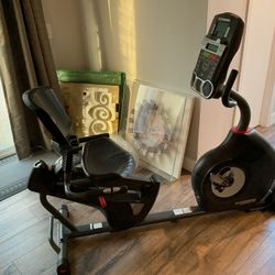 Schwinn Journey 2.0 Recumbent Workout Bike