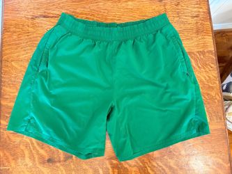 All In Motion Mens Shorts (size Large)