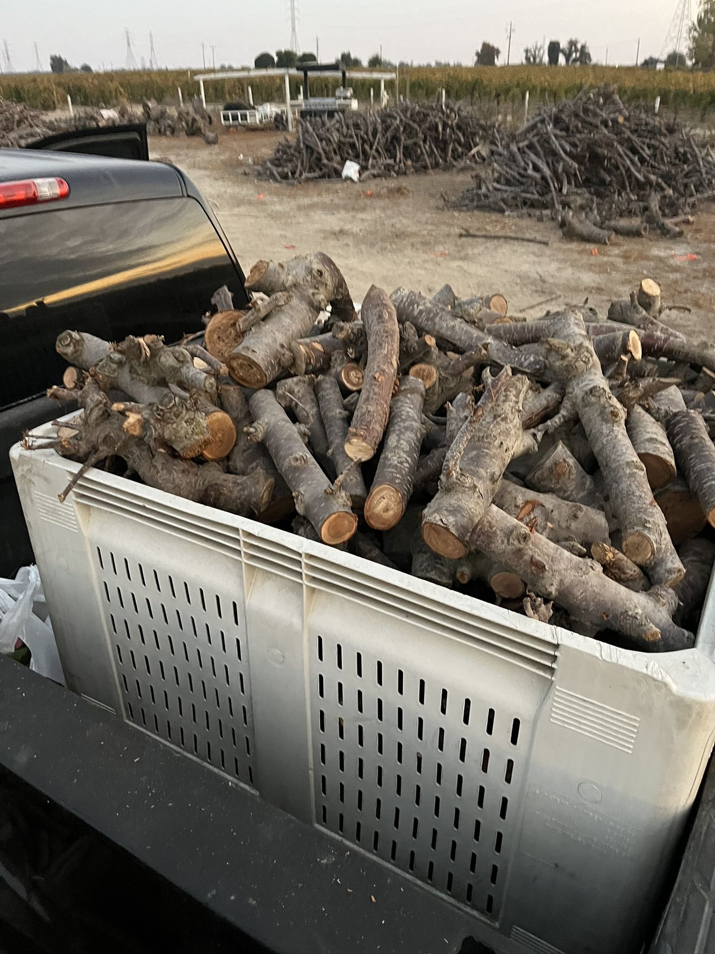 Firewood