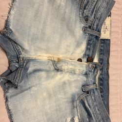 Size 30 Shorts From Hollister