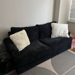 Pull Out Couch 