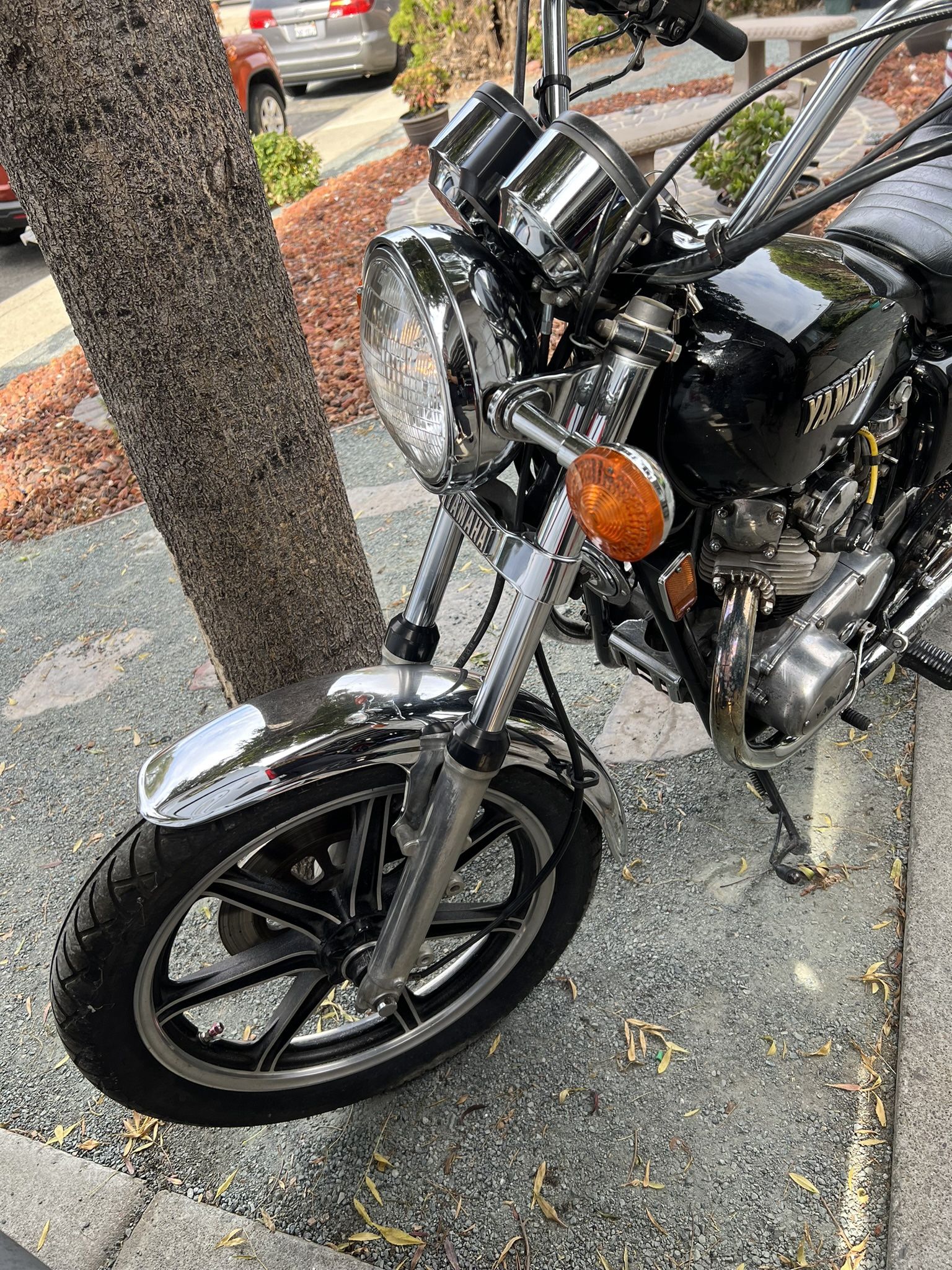 Yamaha X650 Special Edition