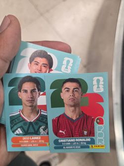 Panini cards