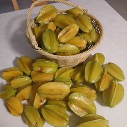 Freshly Picked Ripe Starfruit