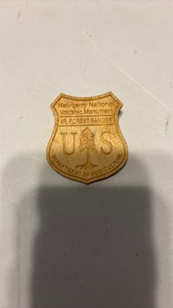 US Forest ranger pin