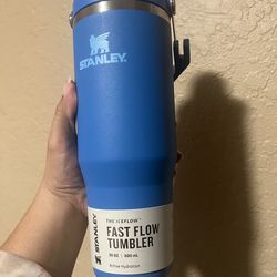 Stanley Fast flow tumbler