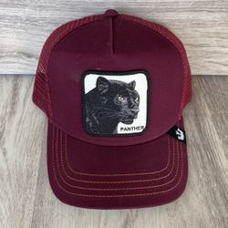 Goorin bros adjustable hat 🧢 Panther