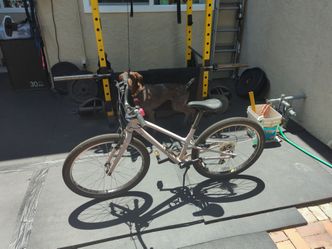 Specialized Jett 8 gear bike