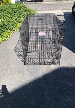 Dog Kennel