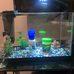 Fish Tank