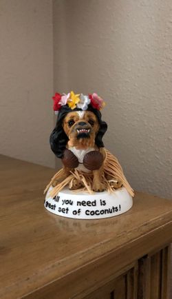 Hawaiian dog Zelda wisdom