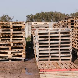 48x40 Wooden Pallets - Bulk Available - Delivery Available - $4 (Boise)