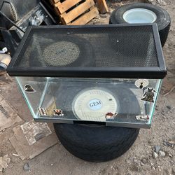 Small Terrarium 21 Inches Long By 11 Inches Wide And 13 Inches High