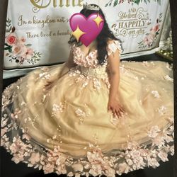 Quinceañera Dress
