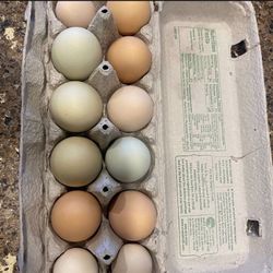 Farm Fresh Chicken Eggs
