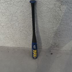 Baseball Bat 