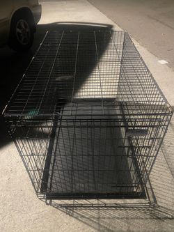 Kennel