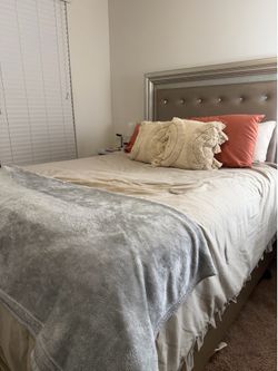 Queen Bed and Box spring