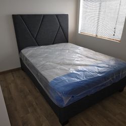 Save More Single Twin Mattress 99 Full Double 159 Queen Bed 179 King 229 California King 229 Frame 69 XL Twin Mattresses All Sizes Available