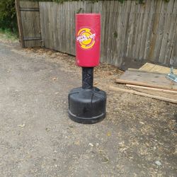 Kick Boxing training bag