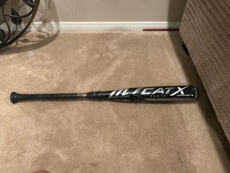 Cat x bat