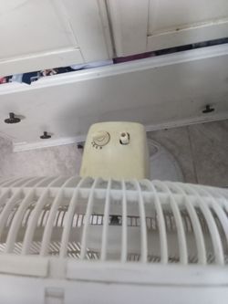 Fan