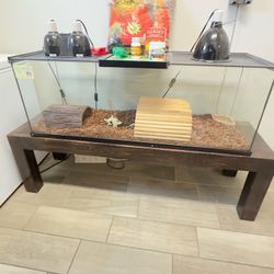 Creative Reptile Terrarium