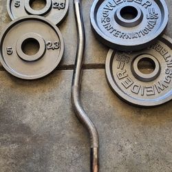 Gym #Gym Equipment #Weights 
