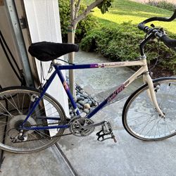 Original Specialized Rock Hopper