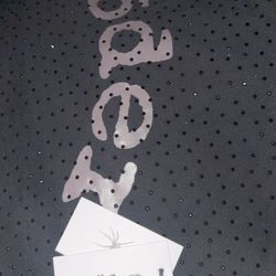 Black Spider Hoodie Vvs