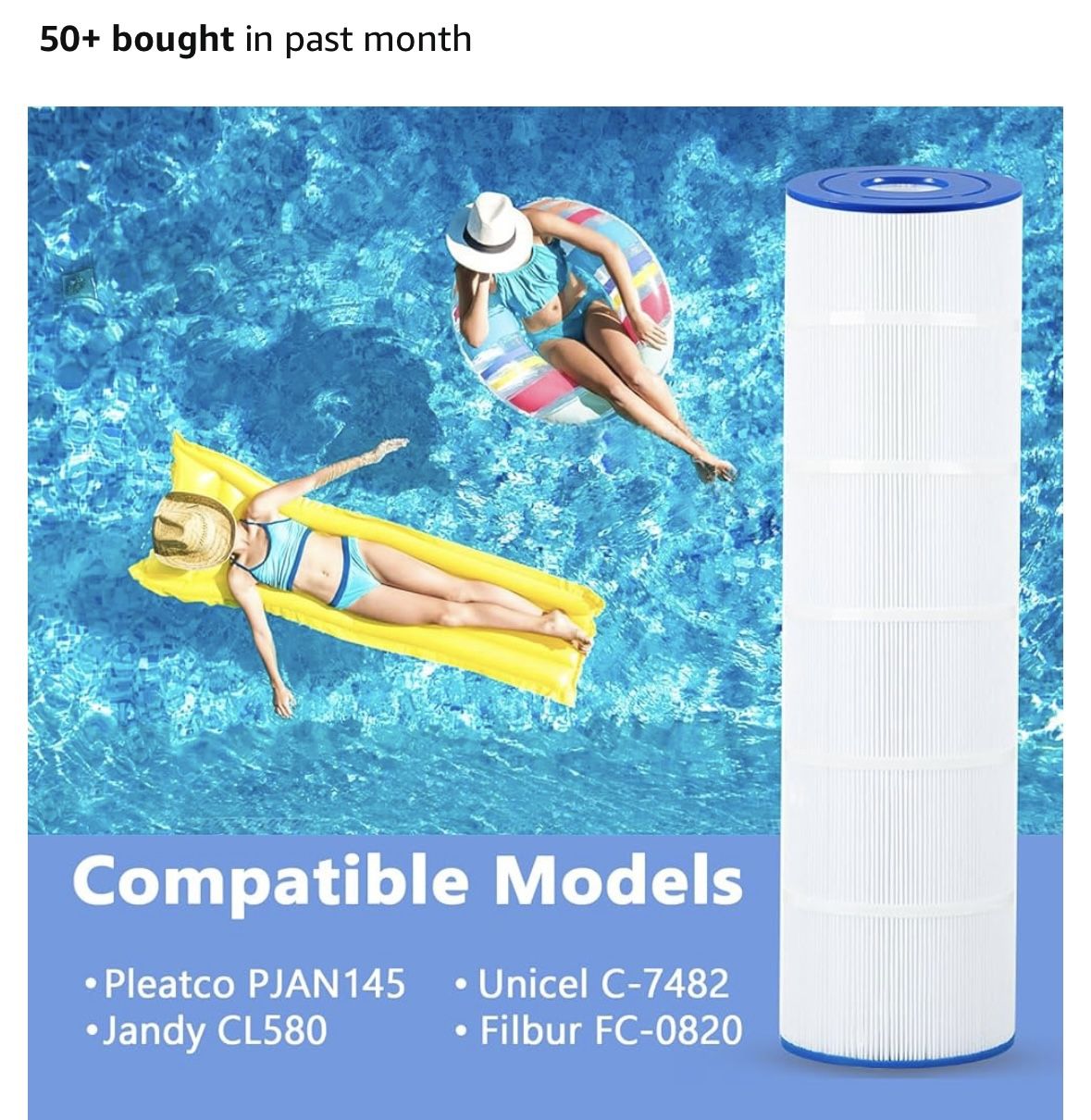 Pool Filter
