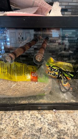 Snake tank and etc