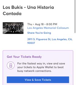 Bukis Concert