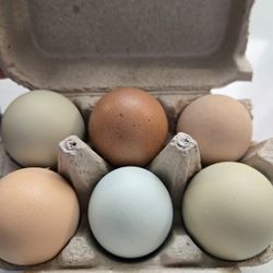 EGGS