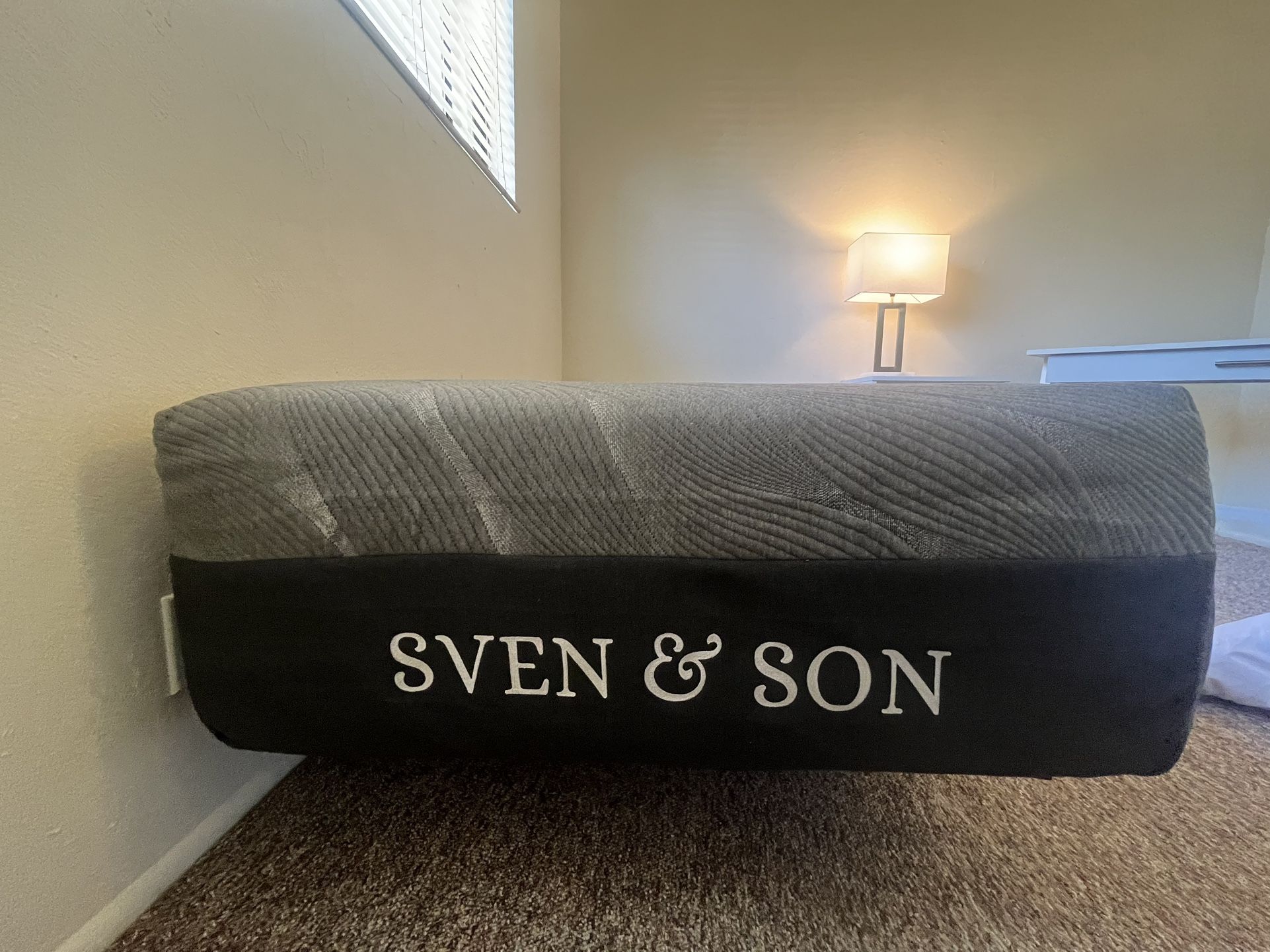 Twin Mattress with Metal Frame