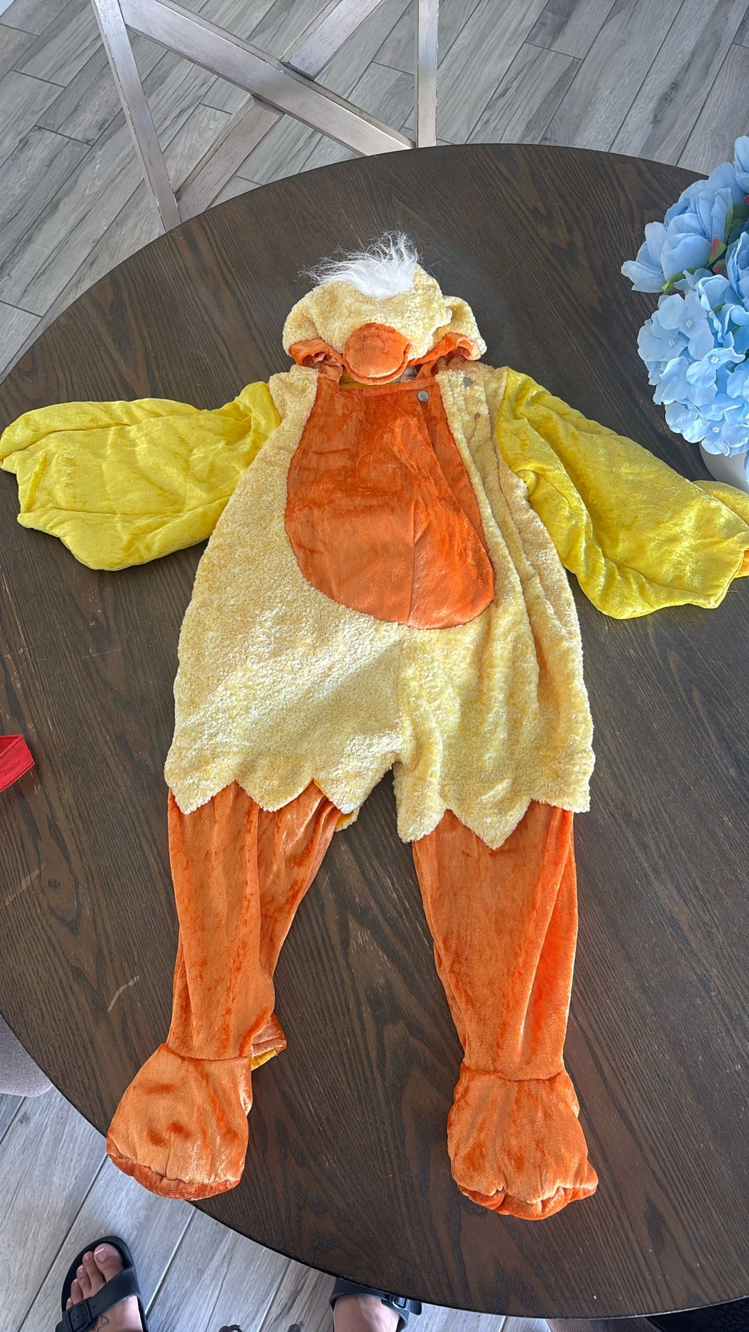 Halloween Costumes