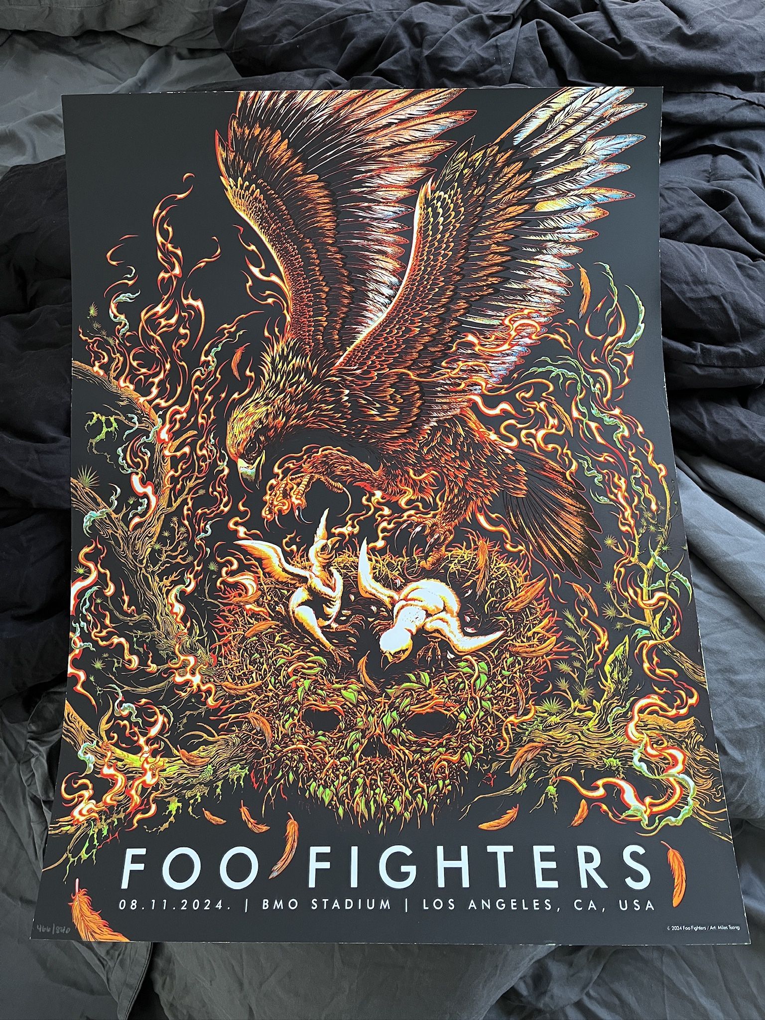 Foo Fighters LA Concert Poster & Concrete And Gold Alt Black Vinyl