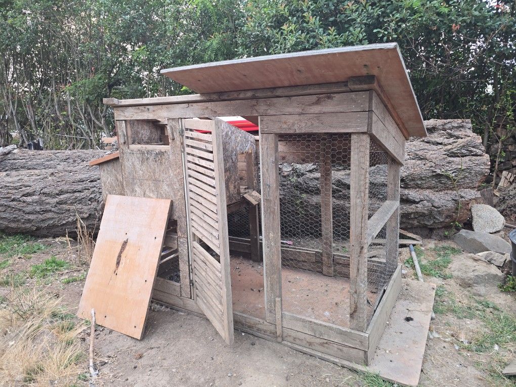 Chicken Coop
