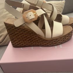 Women’s Wedge Sandals (9.5)